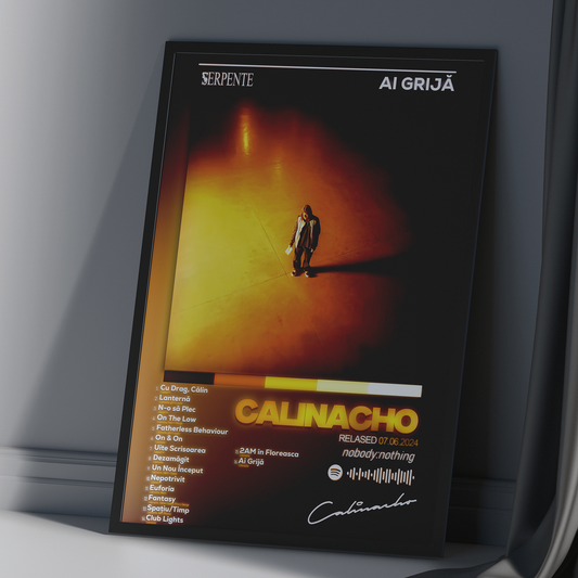 Tablou decorativ album AI GRIJA - Calinacho