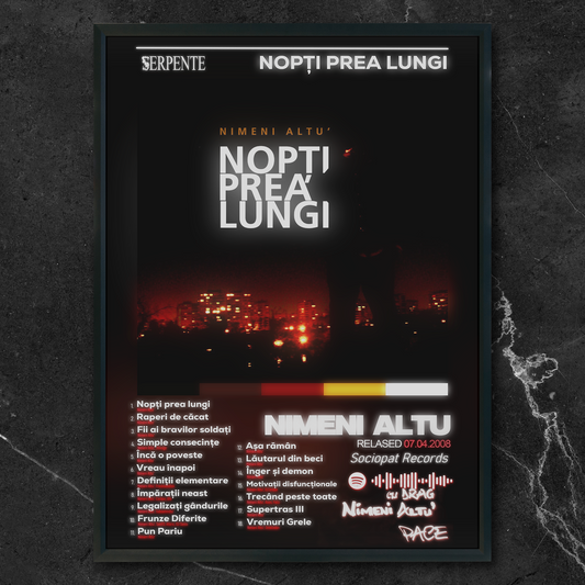 Tablou decorativ album Nopți prea lungi - Nimeni Altu’