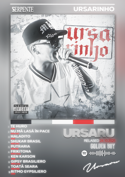 Tablou decorativ album URSARIHNO - Ursaru