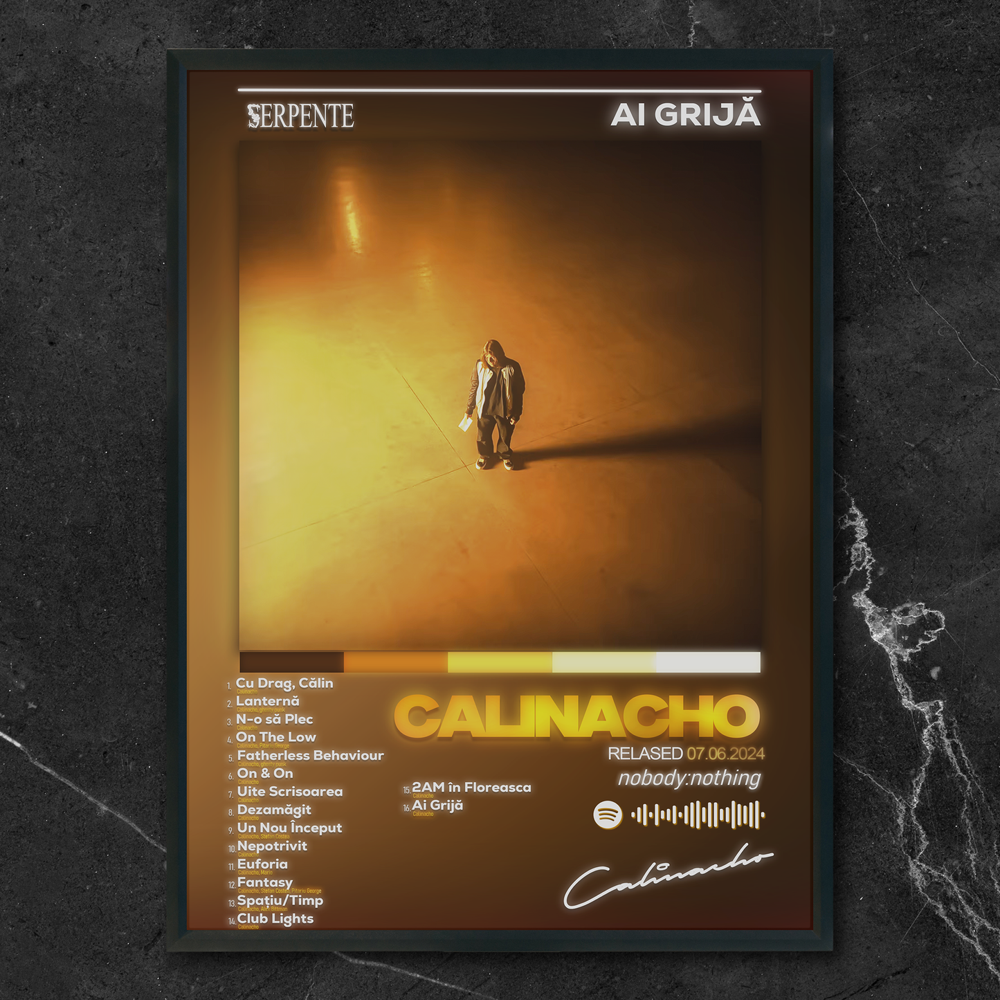 Tablou decorativ album AI GRIJA - Calinacho