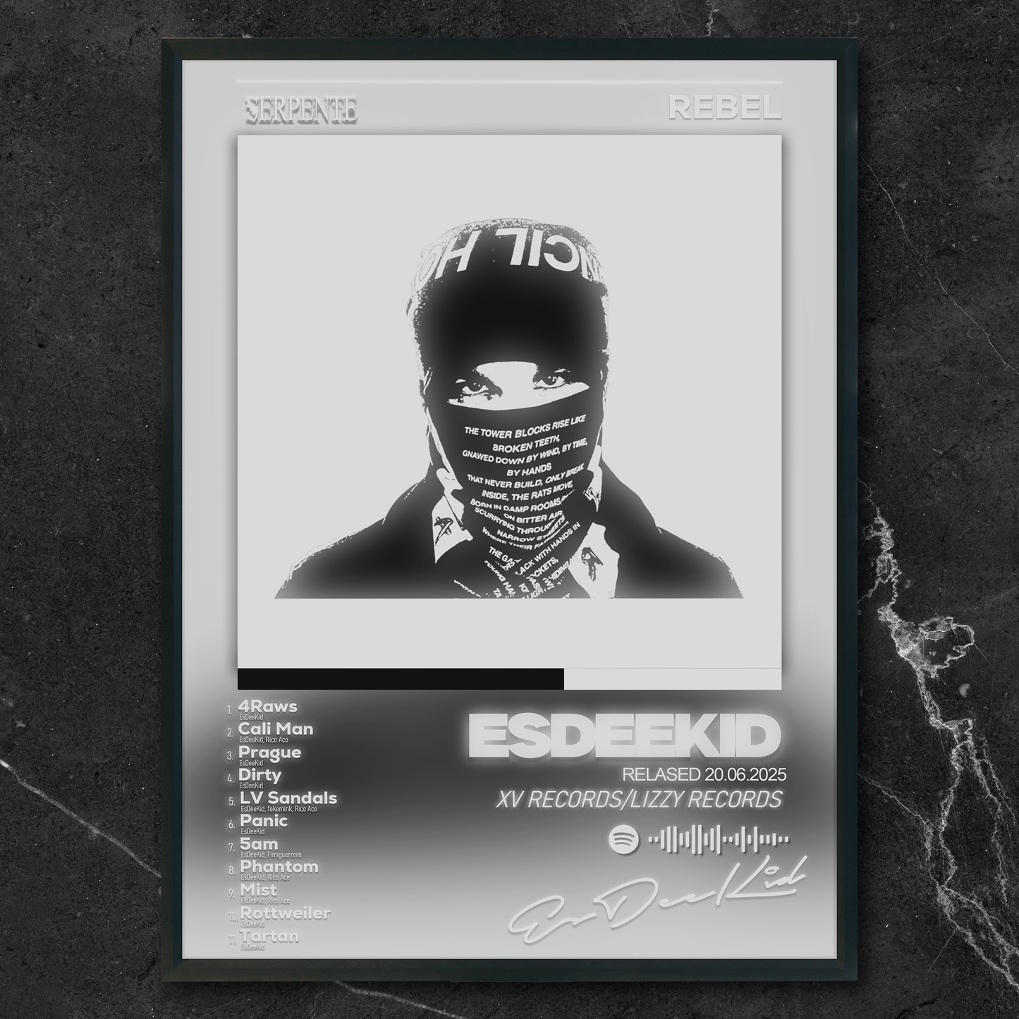 Tablou decorativ album REBEL - EsDeeKid