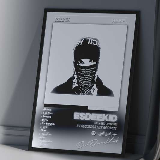 Tablou decorativ album REBEL - EsDeeKid