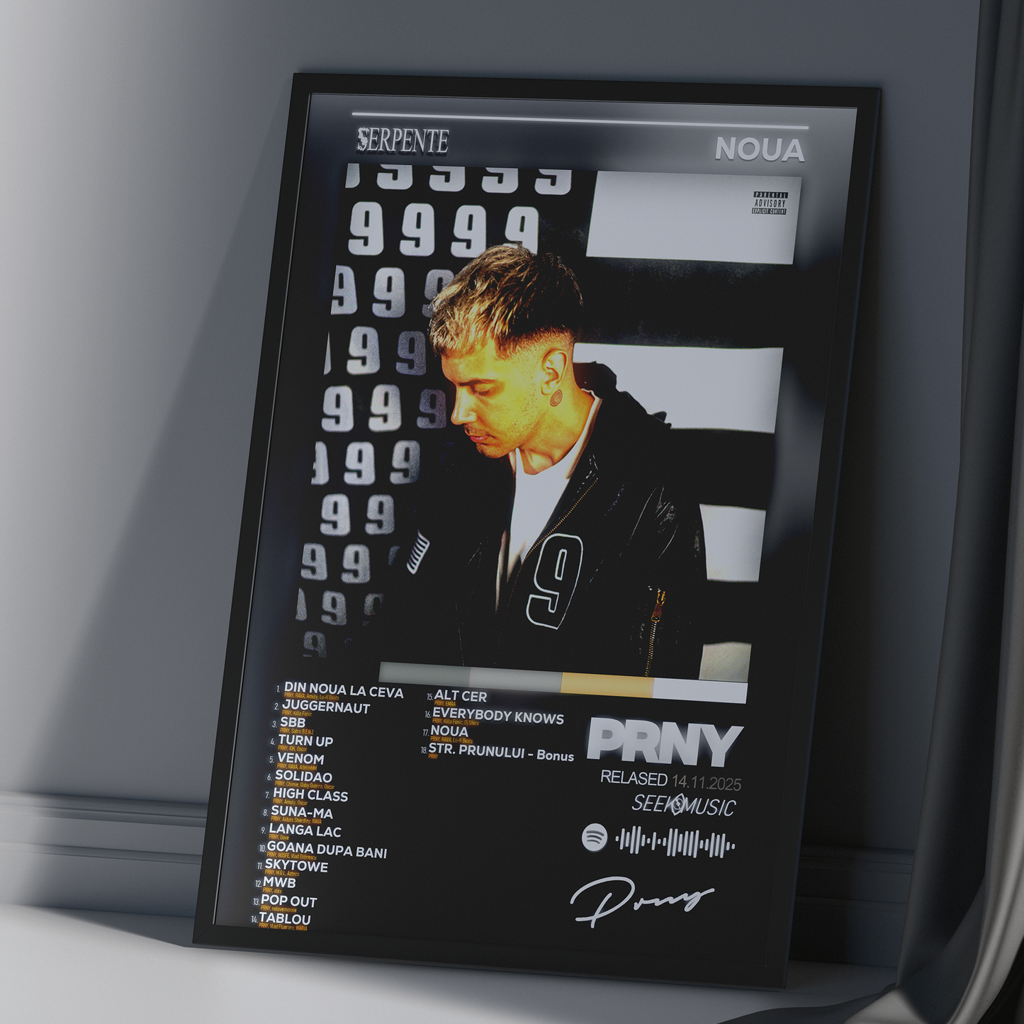 Tablou decorativ album NOUA - PRNY