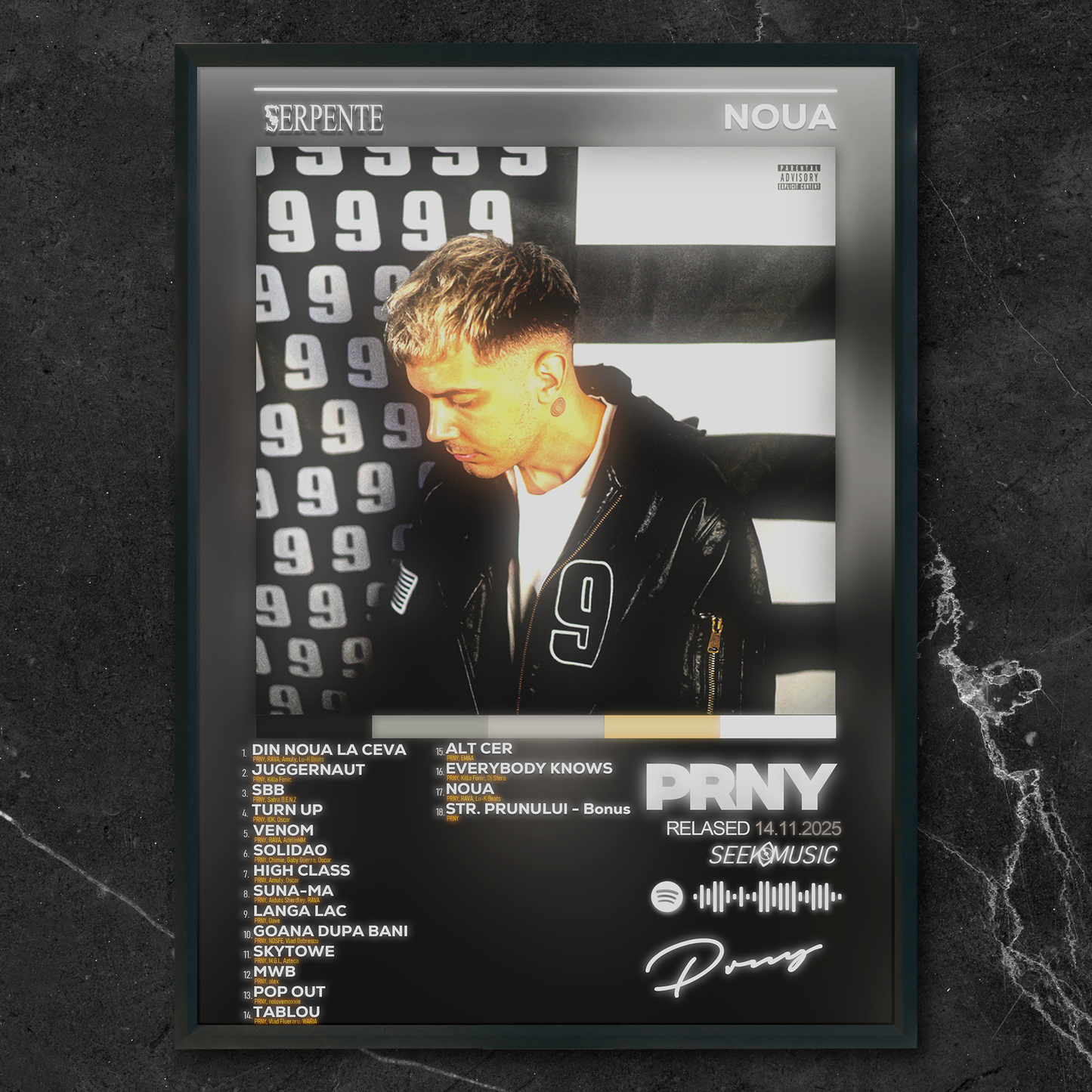 Tablou decorativ album NOUA - PRNY