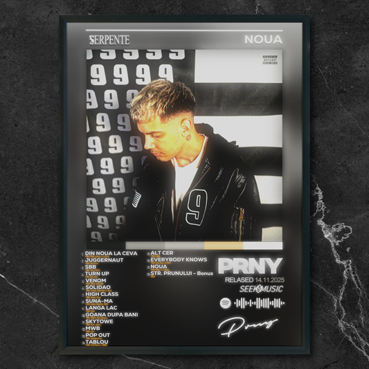 Tablou decorativ album NOUA - PRNY