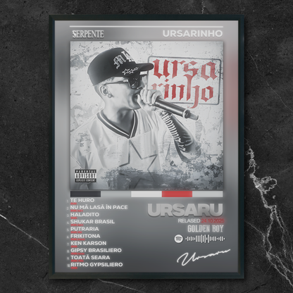 Tablou decorativ album URSARIHNO - Ursaru