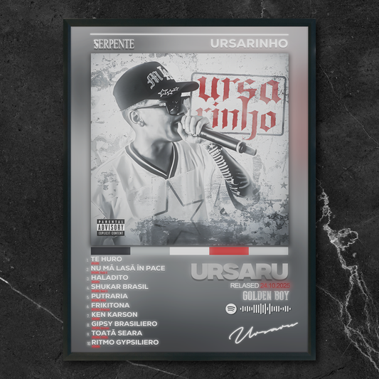 Tablou decorativ album URSARIHNO - Ursaru